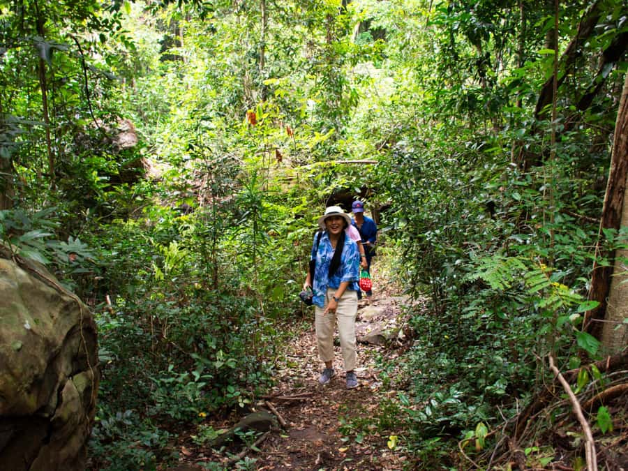 Khao Sok: Private Jungle Trek, Waterfall Swim & Bamboo Lunch - Starting from Khao Sok and Khlong Sok