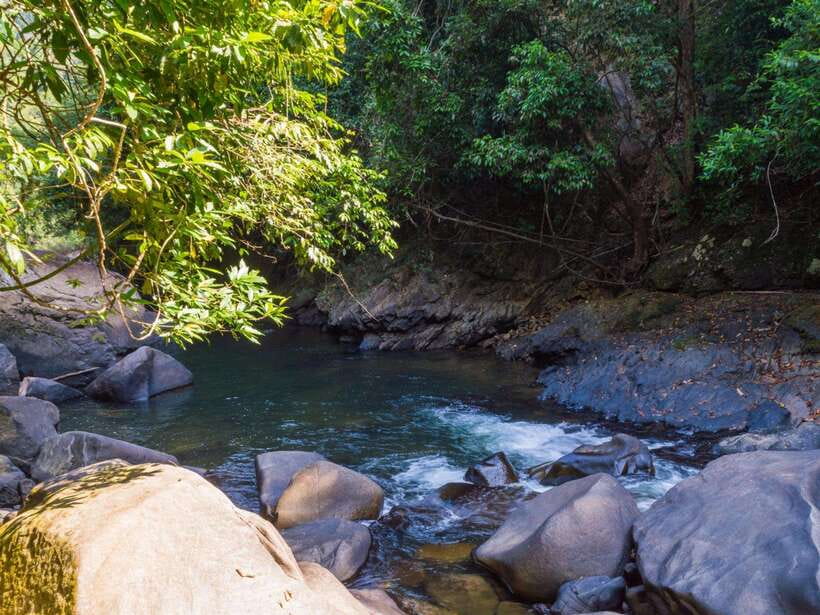 Khao Sok: Private Waterfalls and Wildlife Half-Day Trek - Private or small group: which format suits you?