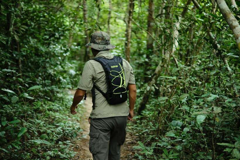 Khao Sok: Private Waterfalls and Wildlife Half-Day Trek - What $48 includes, and where the value lies