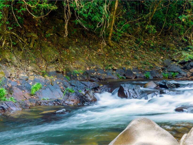 Khao Sok: Private Waterfalls and Wildlife Half-Day Trek - Heat, insects, and the right level of effort