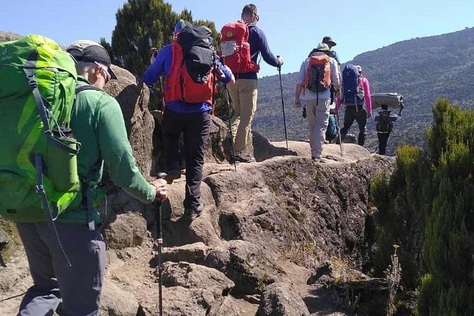 Kilimanjaro Climb- Lemosho Route - Your first day in Arusha