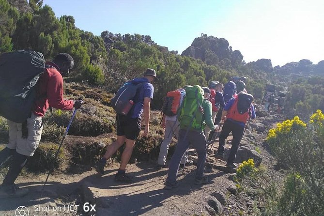 Kilimanjaro Climb- Lemosho Route - Booking, pickup, and cancellation details