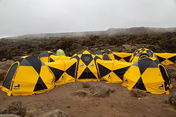 Kilimanjaro climb, Lemosho Route (6-day) - Why the Lemosho Route is a smart choice