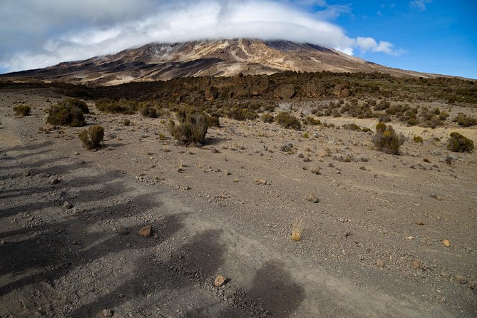 Kilimanjaro climb, Lemosho Route (6-day) - Day two: Lava Tower and the Barranco Wall