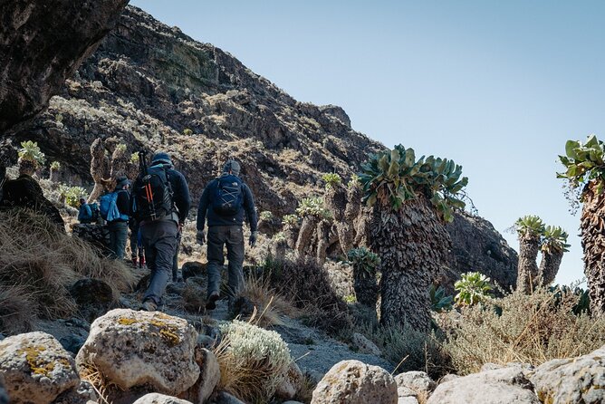 Kilimanjaro climb, Machame Route (7-day) - Day 7: Uhuru Peak and a long descent