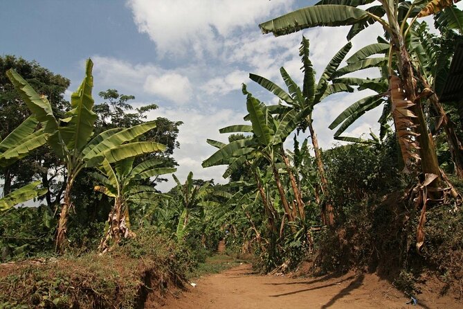 Kilimanjaro Day Hike Marangu Route - What the $391.67 price means