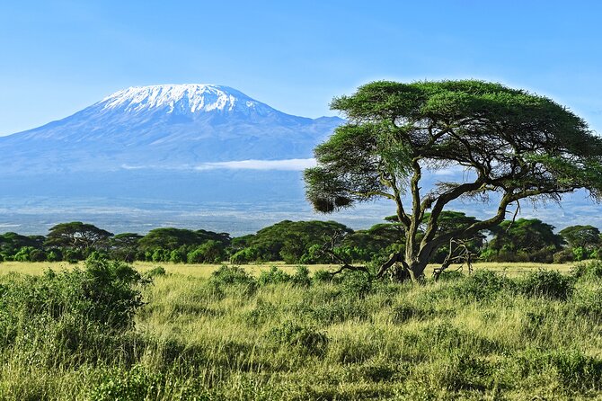 Kilimanjaro Day Hike Marangu Route - A full day from Arusha