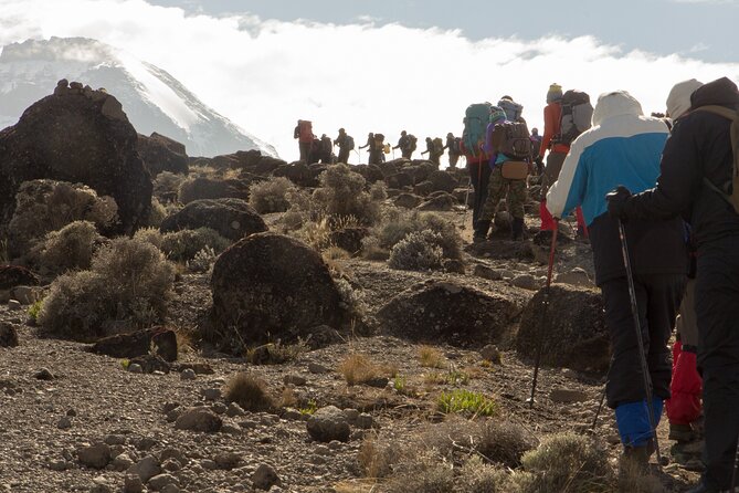 Kilimanjaro Day Hike Marangu Route - Who should book this Marangu day hike?