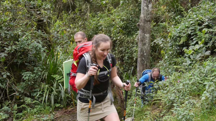 Kilimanjaro: Day trip -hike to Mandara Hut Kilimanjaro 2700m - Key points to know before you go