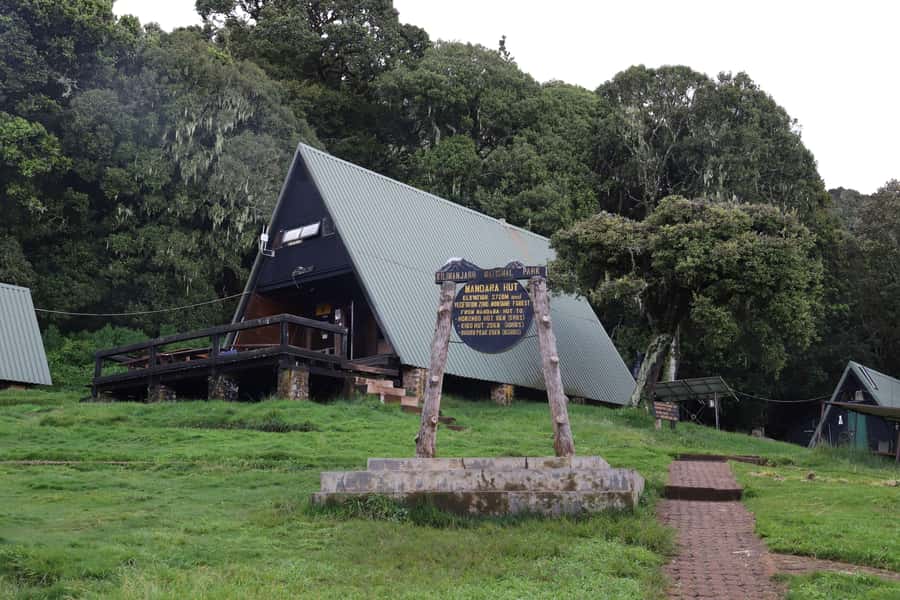 Kilimanjaro: Day trip -hike to Mandara Hut Kilimanjaro 2700m - Why this is a good first taste of Kilimanjaro