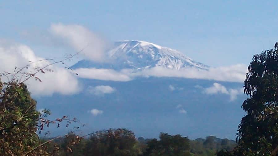 Kilimanjaro: Day trip -hike to Mandara Hut Kilimanjaro 2700m - From Moshi to Marangu Gate