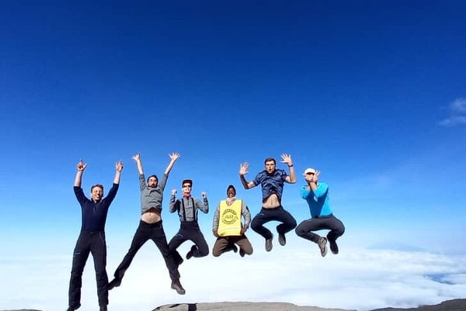 Kilimanjaro Lemosho Route - Day 2: Moorland and the Shira Plateau