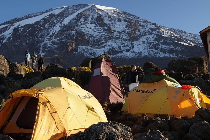 Kilimanjaro-lemosho Route 8 Days Itinerary - Why the Lemosho Route earns eight days