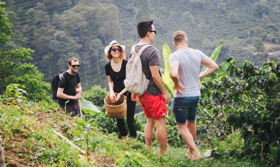 Kilimanjaro: Maasai Village Visit, Waterfalls, & Coffee Tour - Chagga lunch, banana beer, and hands-on coffee