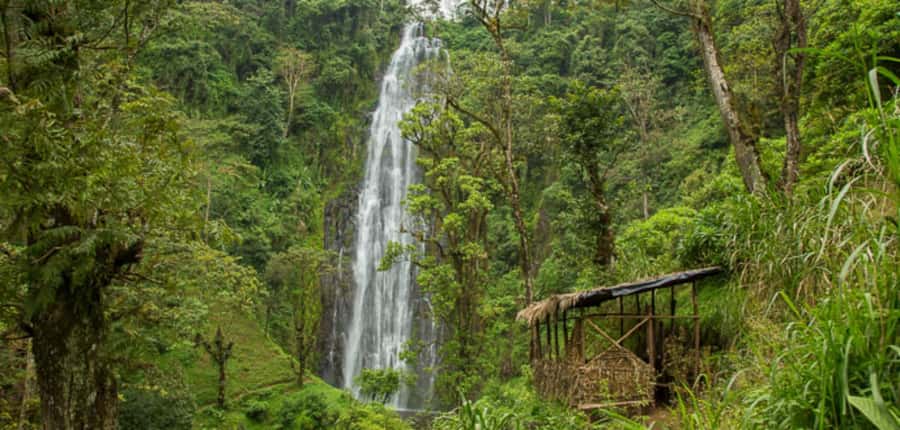 Kilimanjaro: Maasai Village Visit, Waterfalls, & Coffee Tour - Meeting the Maasai community near Kilimanjaro Airport
