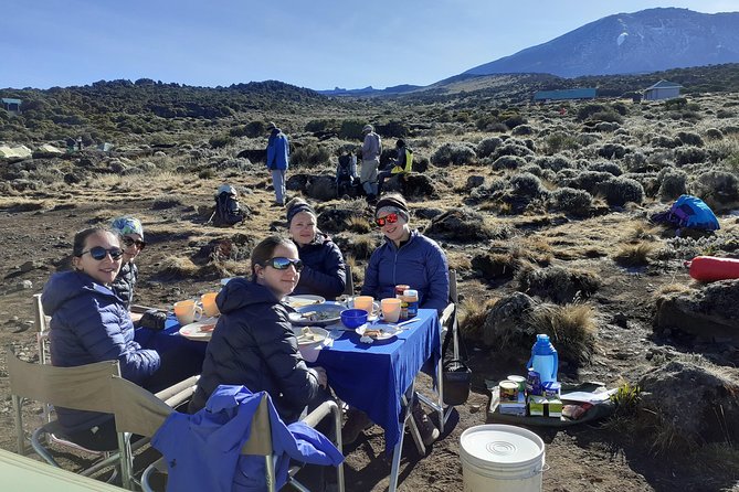 KILIMANJARO MACHAME ROUTE, (Climb 7days) "Whiskey" route - Day 7: Mweka Camp to Mweka Gate
