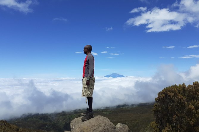 KILIMANJARO MACHAME ROUTE, (Climb 7days) - Day 2: Heath zone, steep ground, and Barranco Camp