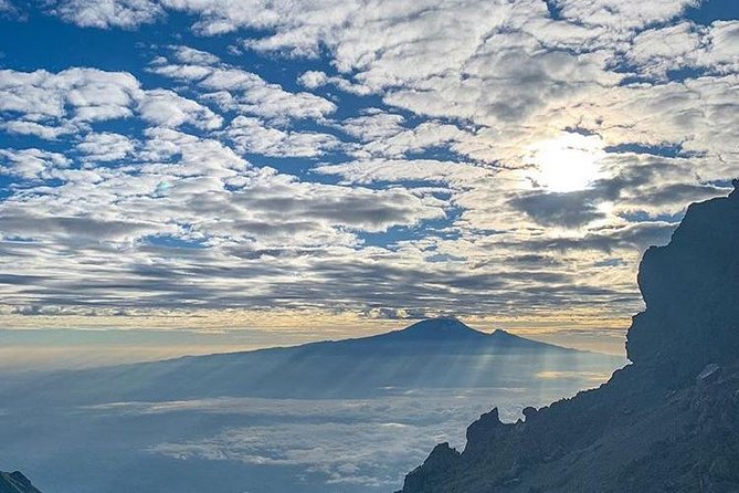 Kilimanjaro Marangu Route 6 Days. (Oldest, easiest & well established) - The long return through the rainforest