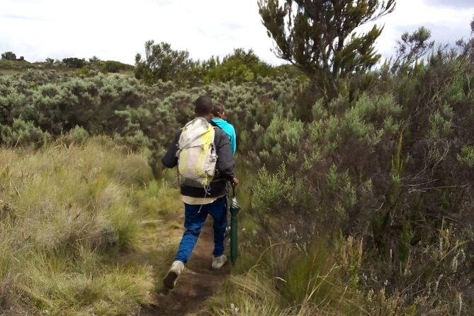Kilimanjaro National Park Day Trip - Mandara Hut, the Turnaround Point