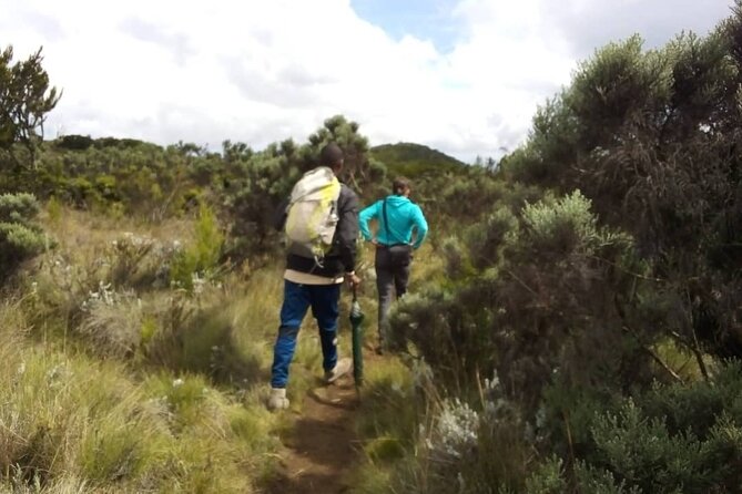Kilimanjaro National Park Day Trip - The Descent and Long Return to Arusha