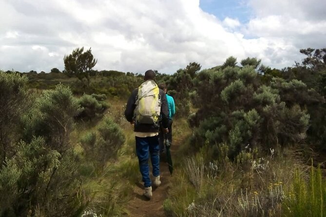 Kilimanjaro National Park Day Trip - Practical Details That Matter on the Day