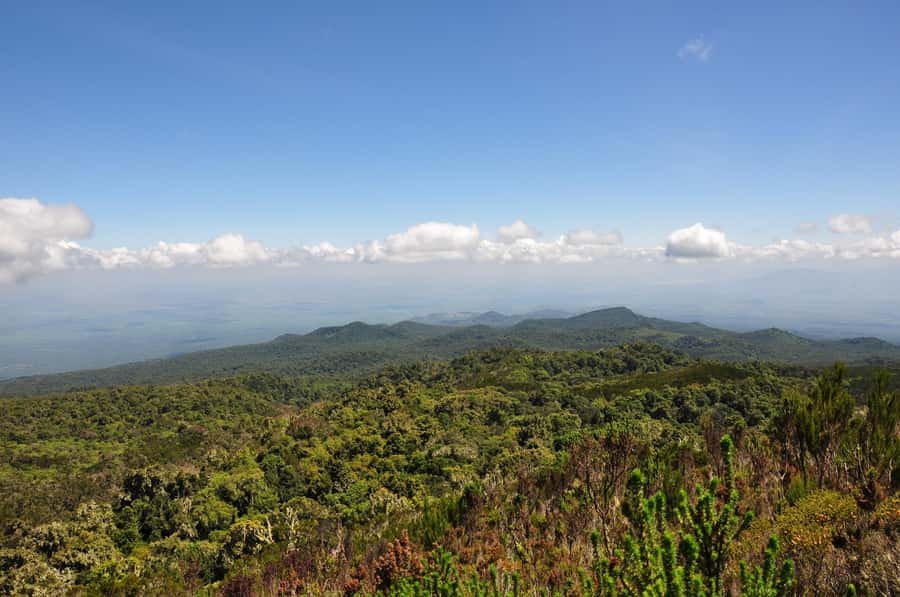 Kilimanjaro: Shira plateau to Cathedral point 3872m Day hike - What to pack for the Shira Plateau