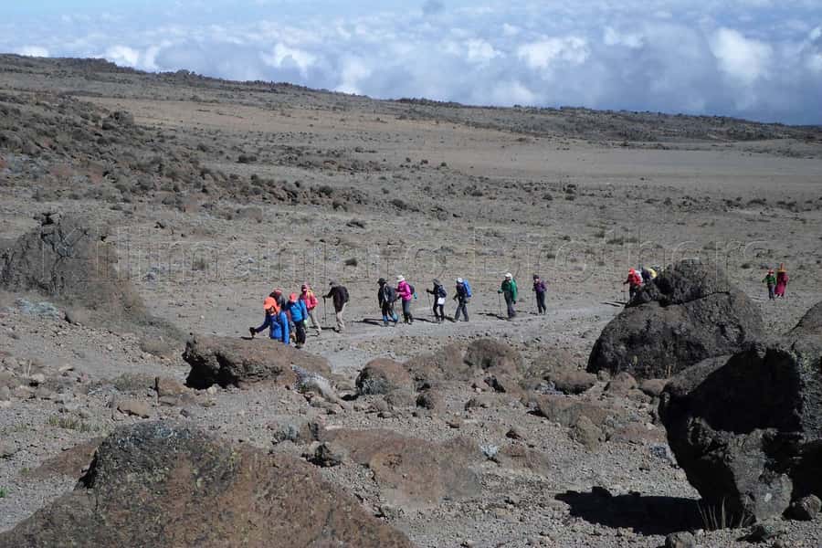 Kilimanjaro: Shira plateau to Cathedral point 3872m Day hike - Cathedral Point at 3,872 meters