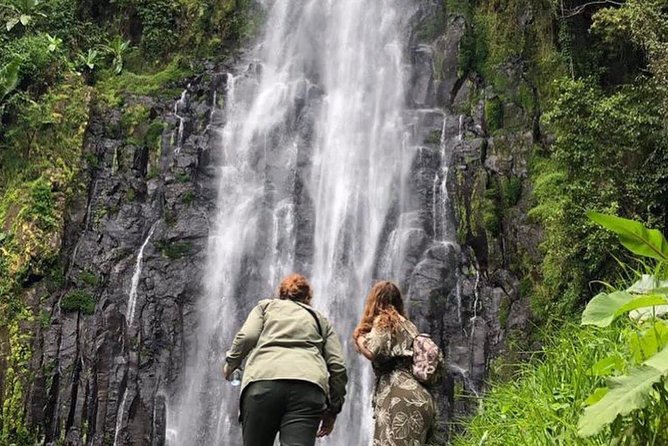 Kilimanjaro Waterfalls Hike & Moshi Hot Springs Day Trip Tour - Key points at a glance