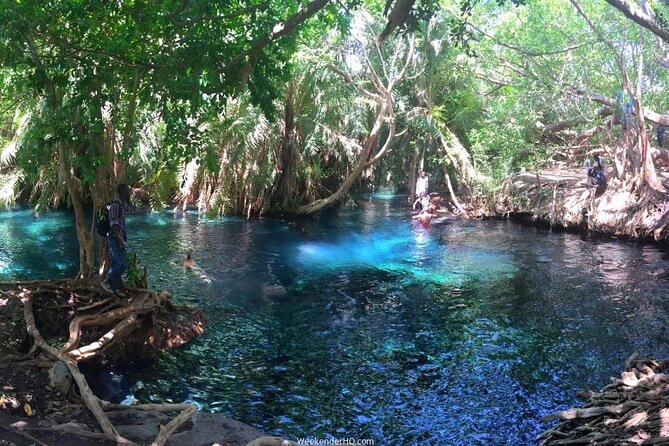 Kilimanjaro Waterfalls Hike & Moshi Hot Springs Day Trip Tour - The short hike to the waterfall