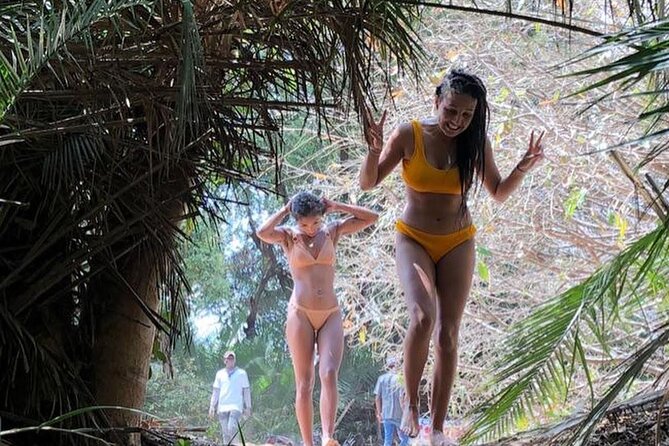 Kilimanjaro Waterfalls Hike & Moshi Hot Springs Day Trip Tour - The guides and the feel of the day