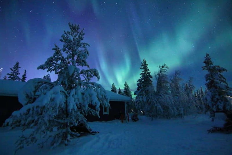 Kiruna: Snowshoe Trek with Aurora Hunt and Warm Beverage - Following the guide through snow-covered trees