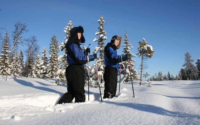 Kiruna: Snowshoe Trek with Warm Beverage and Sandwich - Why Snowshoeing Works So Well in Kiruna