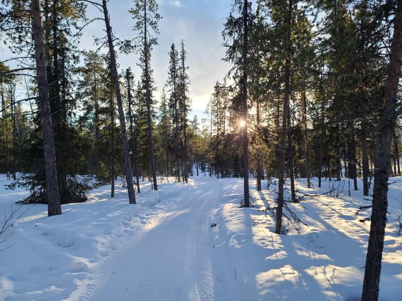 Kiruna: Snowshoe Trek with Warm Beverage and Sandwich - The 45-Minute Walk Uphill