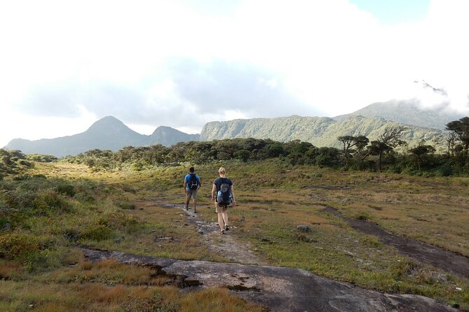 Knuckles Leopard trail Trek from Kandy - Why this Knuckles hike is worth your day