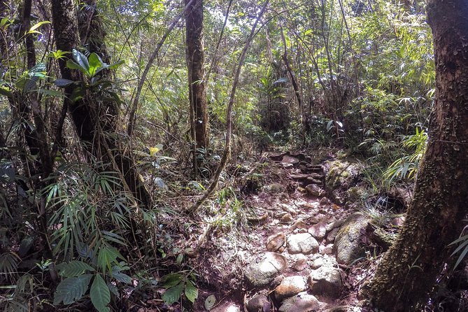 Knuckles Leopard trail Trek from Kandy - The downhill return and the real effort of the day