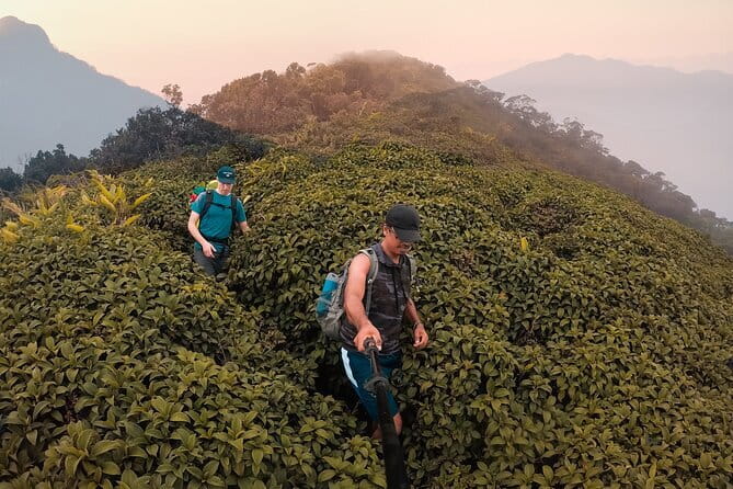 Knuckles Mountain Range Hiking and Trekking Day Tour From Kandy Hotels - Key points before you book