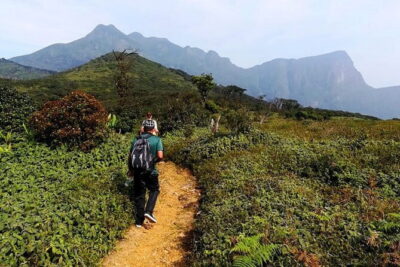 Knuckles Mountain Range Hiking and Trekking Day Tour From Kandy Hotels