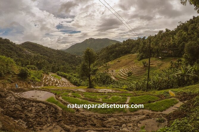 Knuckles Spice Trail Trek from Kandy - From Kandy to the Knuckles Range