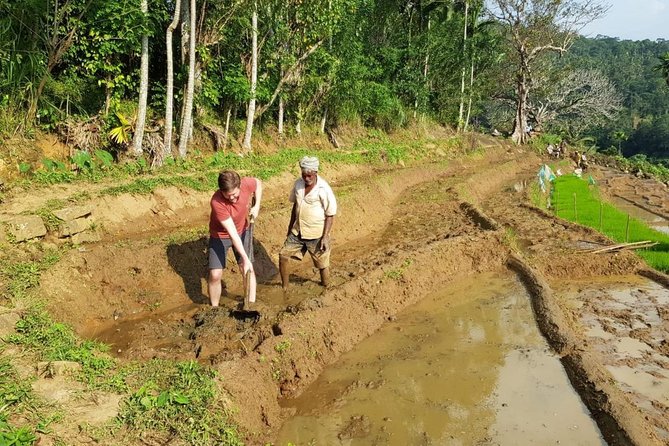 Knuckles Spice Trail Trek from Kandy - Rice Terraces and the Village Route