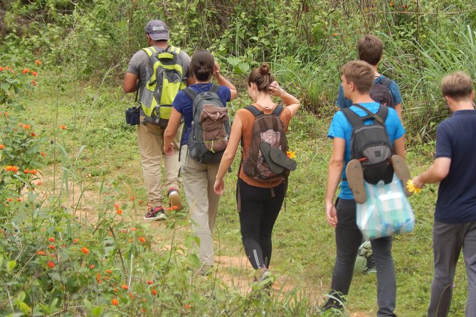 Knuckles Spice Trail Trek from Kandy - Spice Gardens and Cloud Forest Views