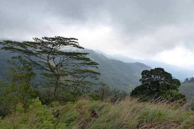 Knuckles Spice Trail Trek from Kandy - Lakmal, Leslie, and the Private Format
