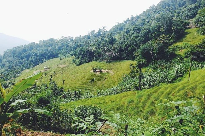 Knuckles Spice Trail Trek from Kandy - Timing, Fitness, and What to Bring