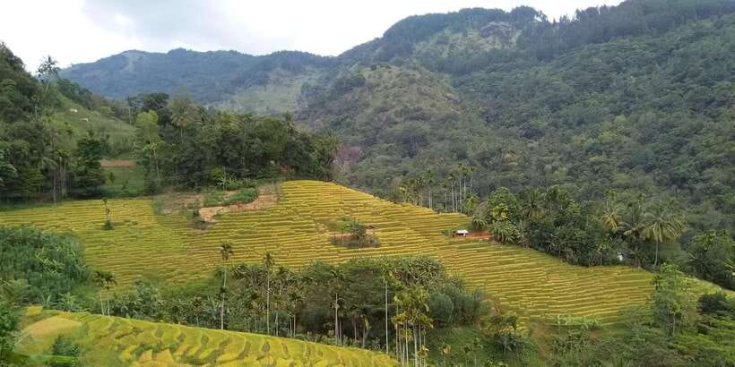 Knuckles Spice Trail Trek from Kandy - Rain, leeches and practical preparation