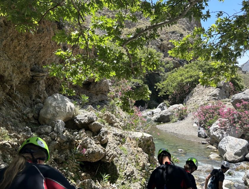 Kourtaliotiko Gorge River Trek with Lunch! Pick-up Avaliable - Exiting through the olive grove