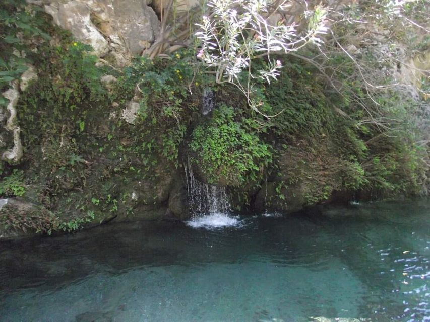 Kourtaliotiko Gorge River Trek with Lunch! Pick-up Avaliable - Lunch and a slower finish at Banana Garden