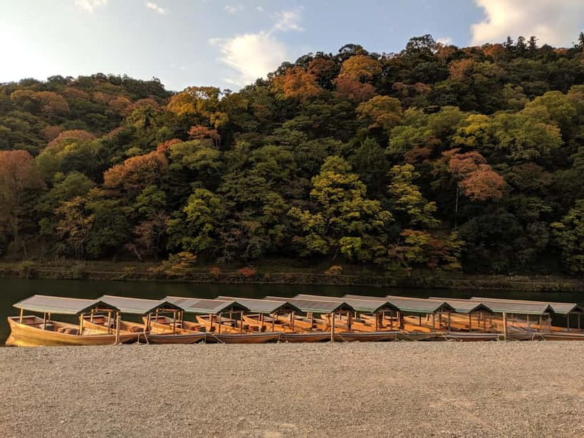 Kyoto: Arashiyama Bamboo Grove, Monkey Mountain Walking Tour - Should you book the Arashiyama and Monkey Mountain tour?