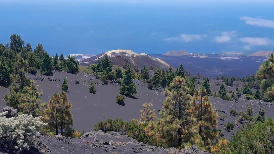 La Palma: Guided e-bike tour (trekking) - Why an e-bike is a smart way to see La Palma