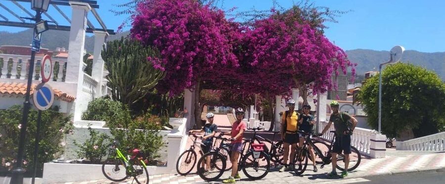 La Palma: Guided e-bike tour (trekking) - What the German-language format means