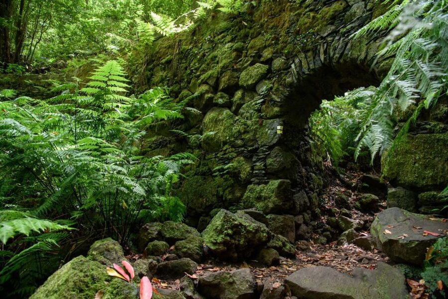 La Palma: Guided Trekking Tour To Cubo de la Galga - Is $38 a fair price?