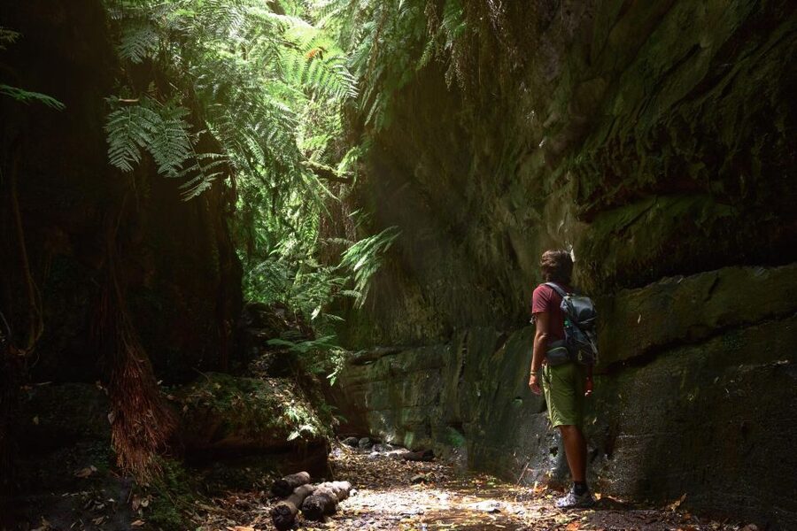 La Palma: Guided Trekking Tour To Cubo de la Galga - The pickup and ride toward Puntallana
